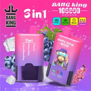 Bang King 100K Puffs 3în1
